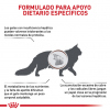 Hepatic Cat